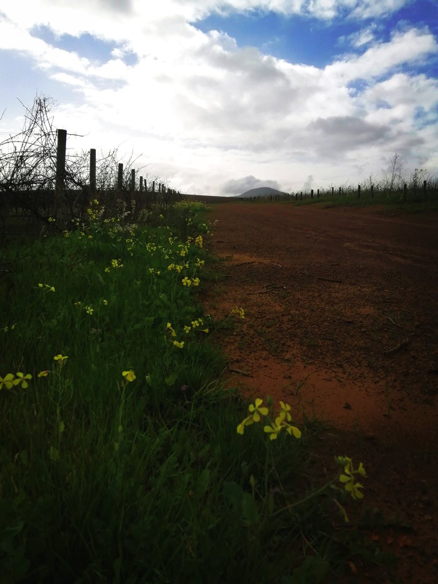 Chinique_route's tweet photo. Sooo blessed with the best. 
#LoveWesternCape 
#ChiniqueRoute https://t.co/tNRAzr2Ts6