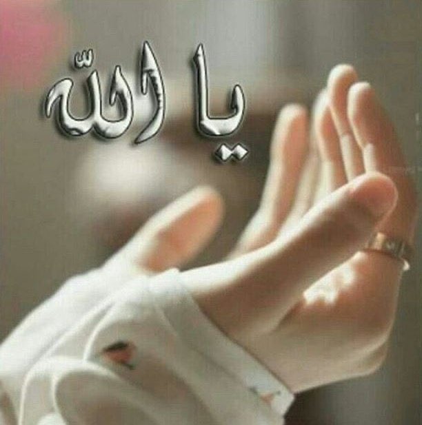 اللهم قلبي ، ولقلبي المسرات الصغيرة ، الأمنيات المستودعة ، النداءات الخفية ، اللهم حلة الحياة وملامح الخير ، كل الخير يا الله...🤍🕊