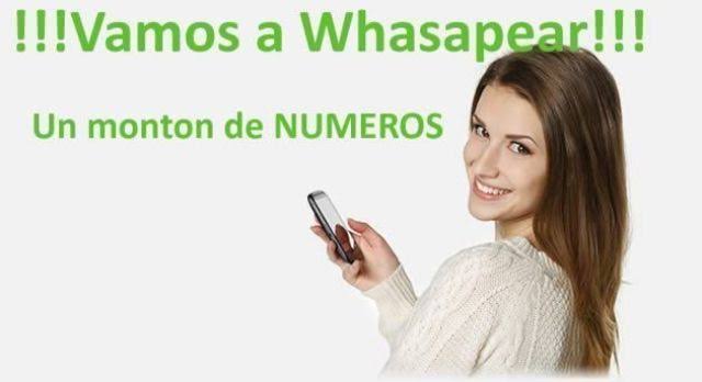 WhatsApp swinger parejas Querétaro tweet media