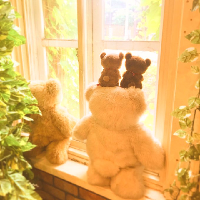 A List Of Tweets Where Psalm Was Sent As はこだて明治館 1 Whotwi Graphical Twitter Analysis