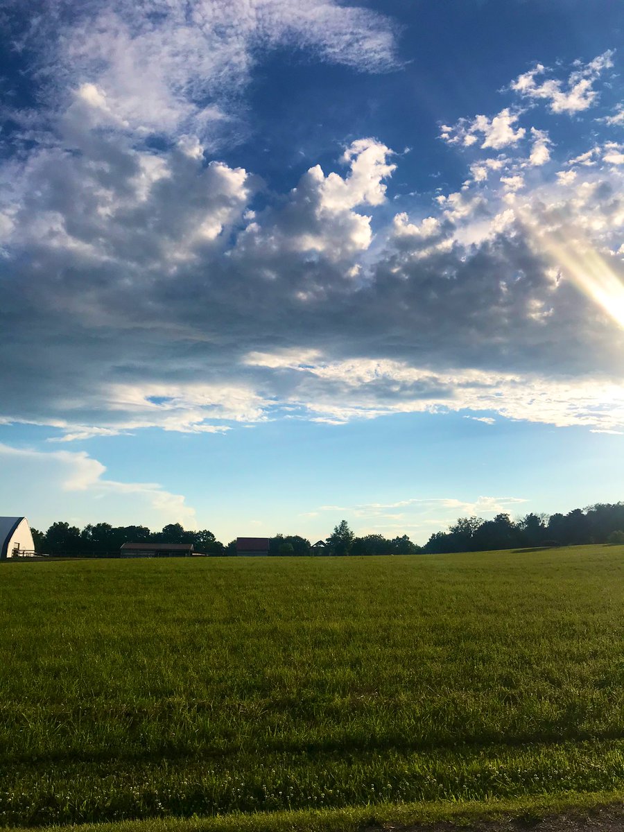 sammers133's tweet photo. post rain https://t.co/7PRI8XBeuu