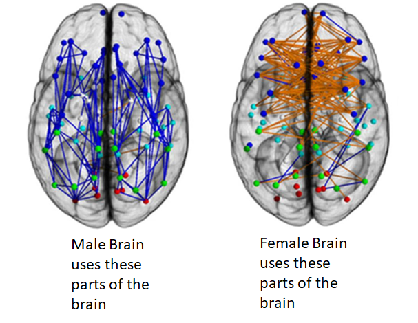 Bio_Trivia's tweet photo. The brain and hypothalamus of males tend to have more volume as compared to females, in human adults. Hypothalamus consisted of a preoptic nucleus twice as large in males as in females.

#Feminism #MaleBrain #FemaleBrain #Biological #BioTirvia https://t.co/3EU42JxuTP