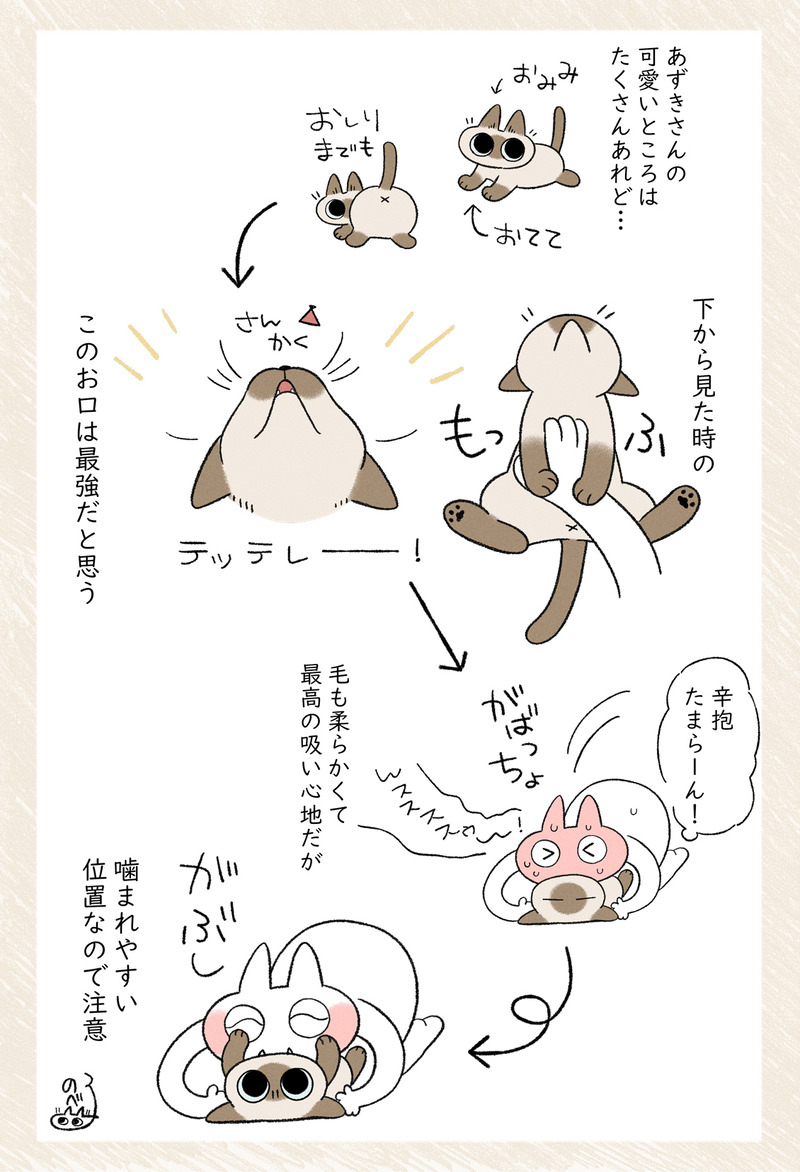 猫d地帯好きすぎ問題児 あんまり毛づくろいできないので香ばしいにおいがするのもま のべ子 シャム猫あずきさんの漫画 猫d地帯好きすぎ問題児 あんまり毛づくろいできないので香ばしいにおいがするのもま のべ子 シャム猫あずきさんの漫画