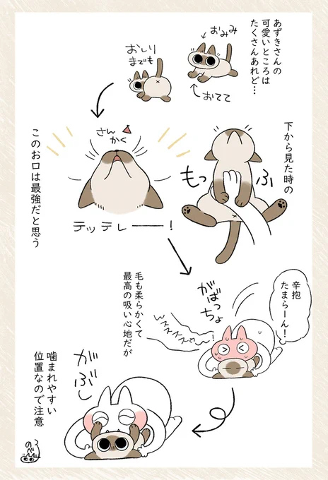 猫Δ地帯好きすぎ問題児
あんまり毛づくろいできないので香ばしいにおいがするのもまた良 #シャム猫あずきさんは世界の中心 