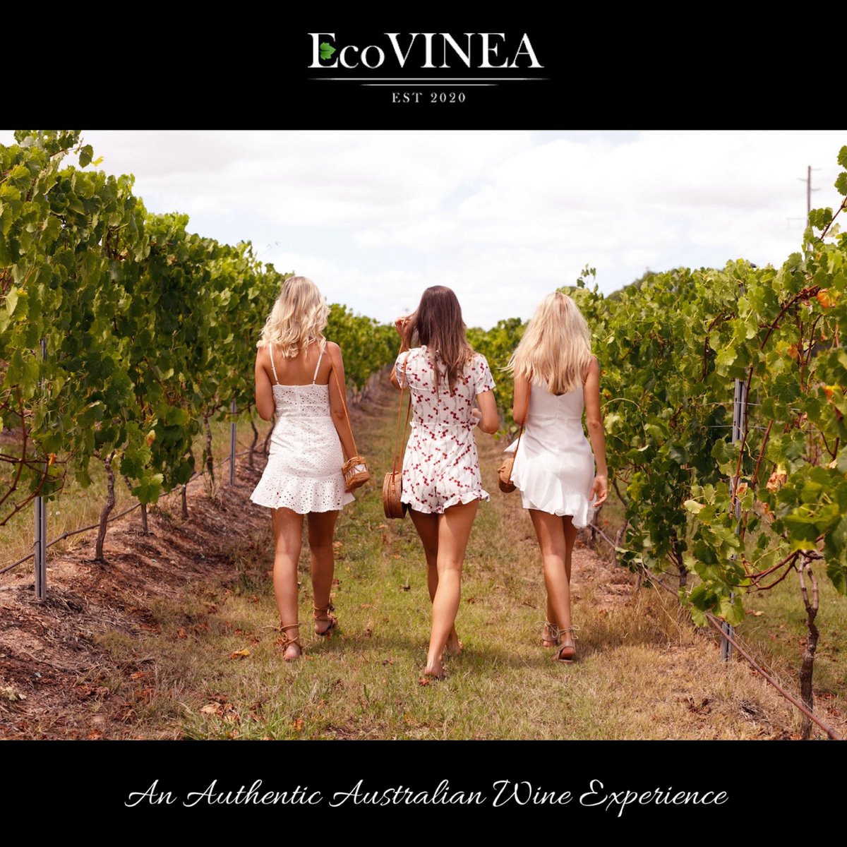 The wine industry in Queensland dates back to the 1860s and like a good wine has developed with age. Throughout Queensland there are about 1500 hectares of wine vineyards, most of which in the southeast corner of the state.

ecovinea.com