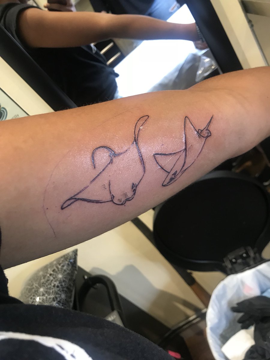 For those wondering, these are my 4 science related tattoos! (Yes, my phylogeny is a mess. I got it before my advanced evolutionary theory class, don’t make fun of me)I love them and I’m SO excited to get more! Drop your science/cool tats in the comments! Let me see that ink