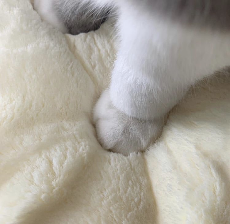 #แจกดิส Renjun คนสวยขาของมะมี๊