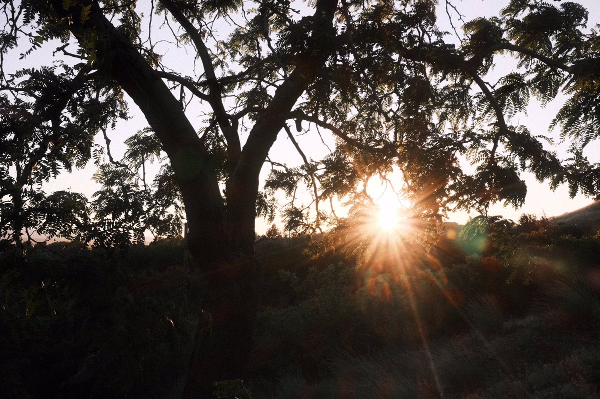 Fuji X Weekly tweet media