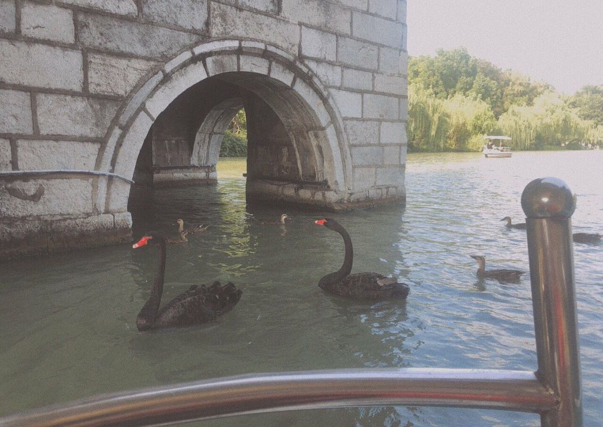 backya516's tweet image. 