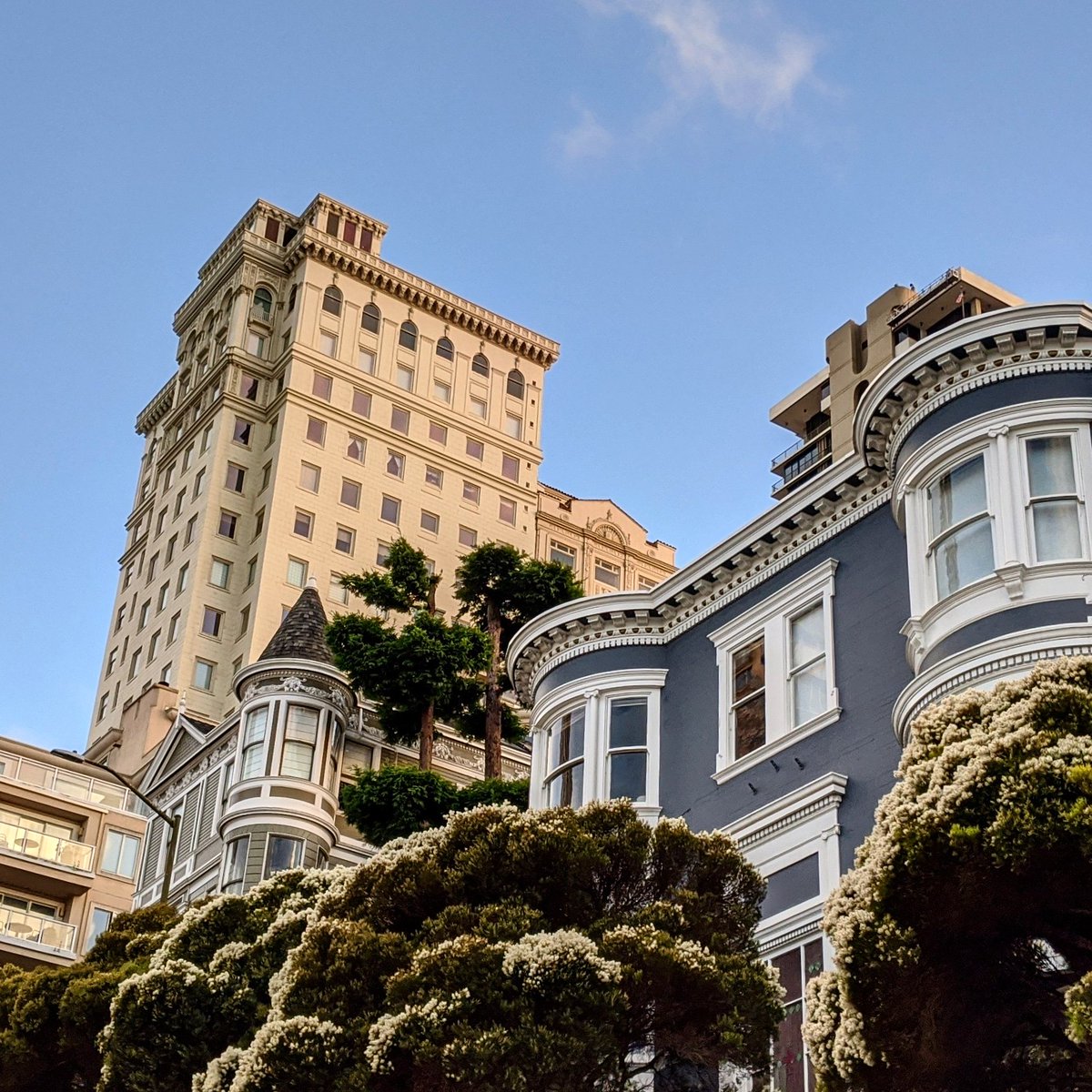 Look at all the variety of scale! That building is different than that other building! Gasp!But it is a gasp of aesthetic pleasure! Giant apartment buildings are super cool to look at. And they mean you might get a corner store within walking distance.