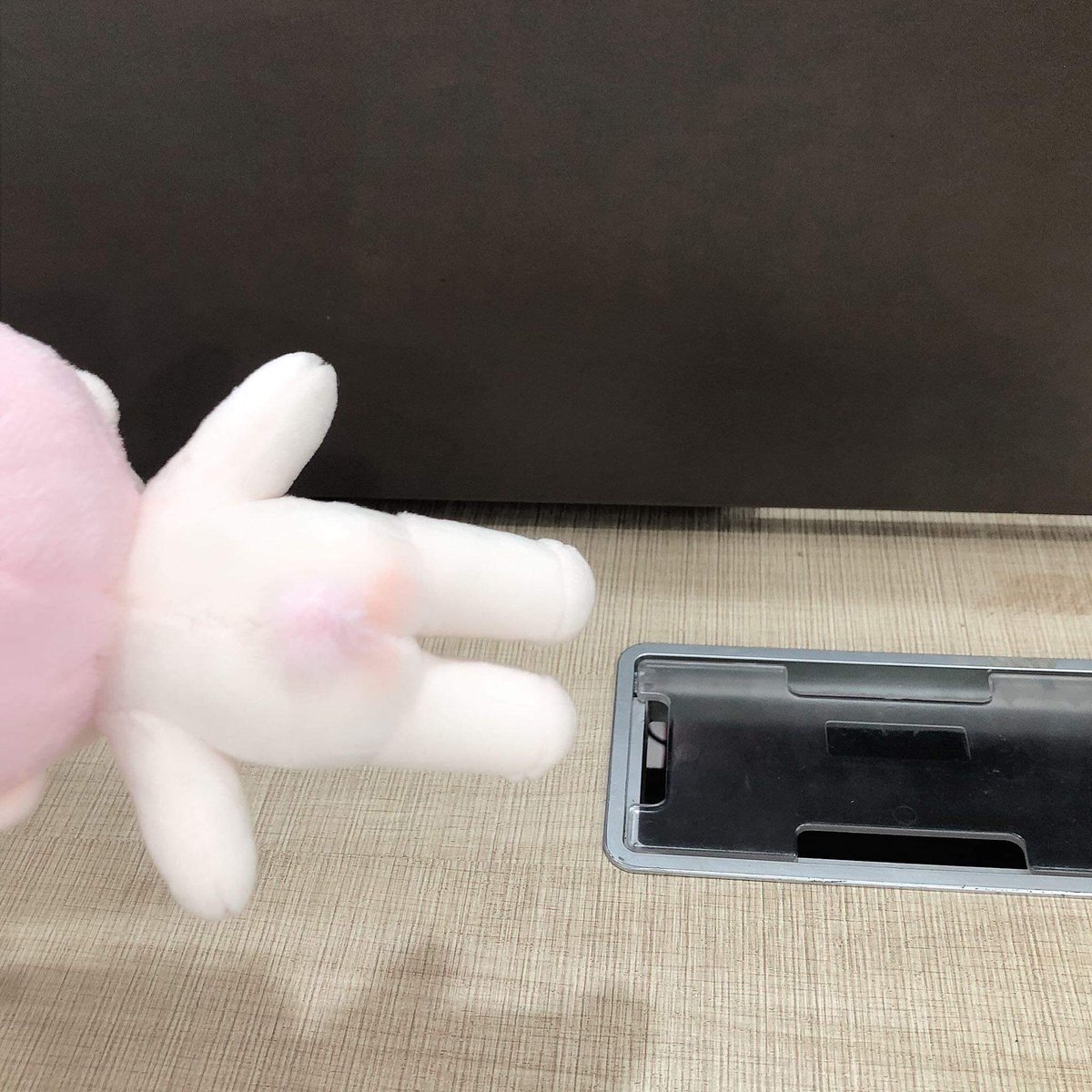 Cherry Blossom Kook tweet media