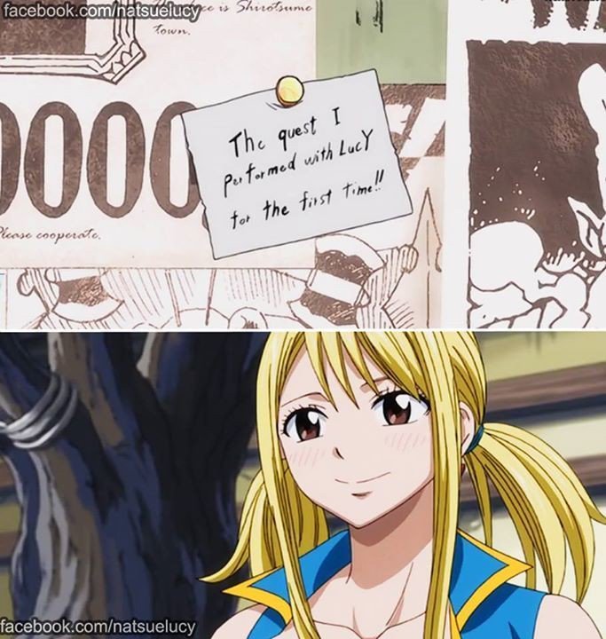 Day 181 of 366 of NaluNatsu keeping everything from the quest he has done with Lucy. Especially their first quest together