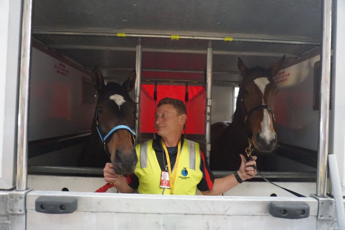 Equine_Freight's tweet photo. These guys are off to Brisbane. Contact us for all your international horse transport needs. #yourhorseisourpriority https://t.co/iApq1RnpsO