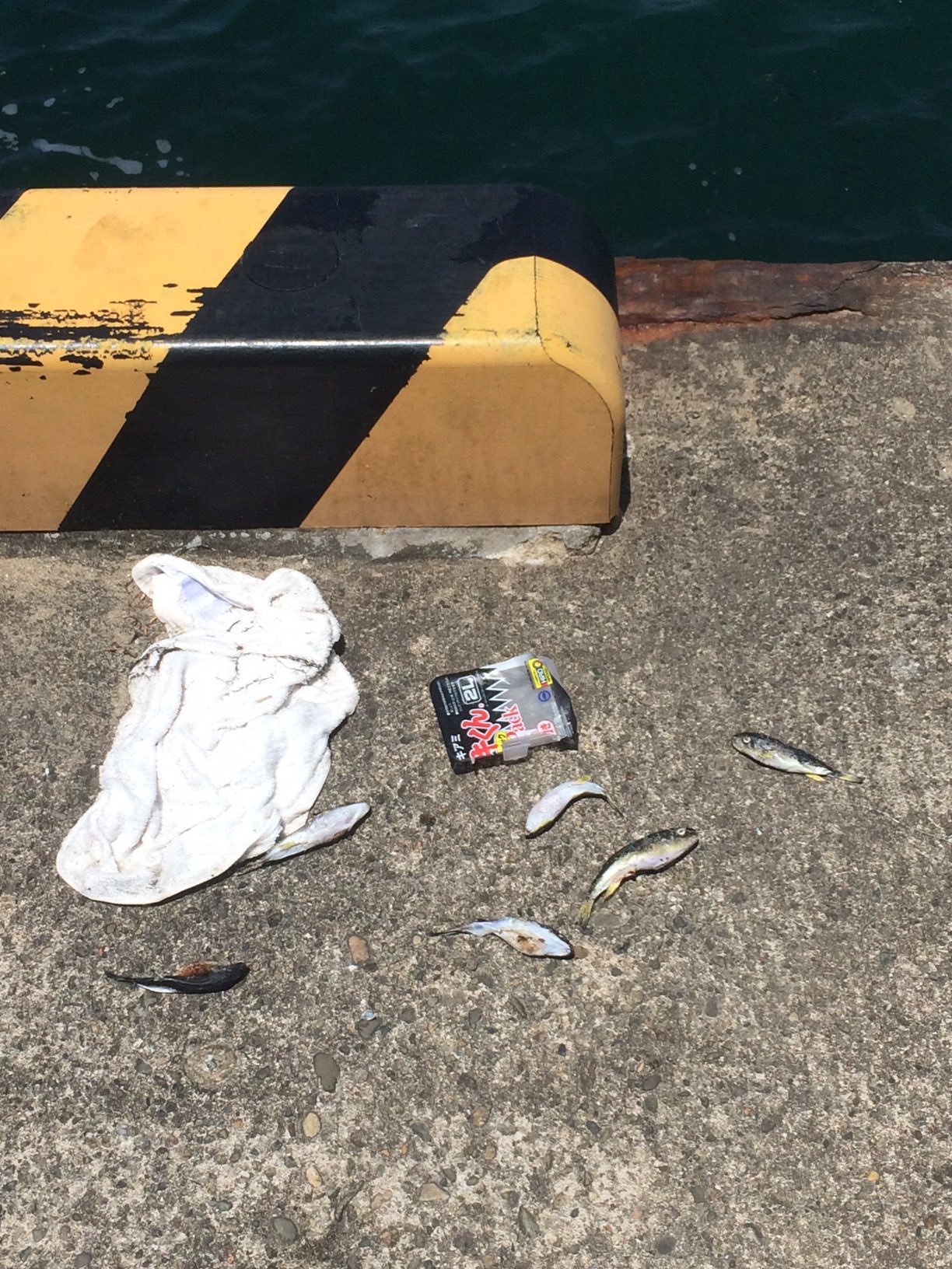 でこっぱちくん 漁港のゴミ 空き缶 おつまみ 釣り糸 針 仕掛け 餌 撒き餌 タオル フグ死骸 控えめに言ってクズヤロー共 2度と釣りするな お前らのお陰で釣り禁止になるんだよ 捨てるの見つけ次第 1時間ほどモラルとマナーについて説教