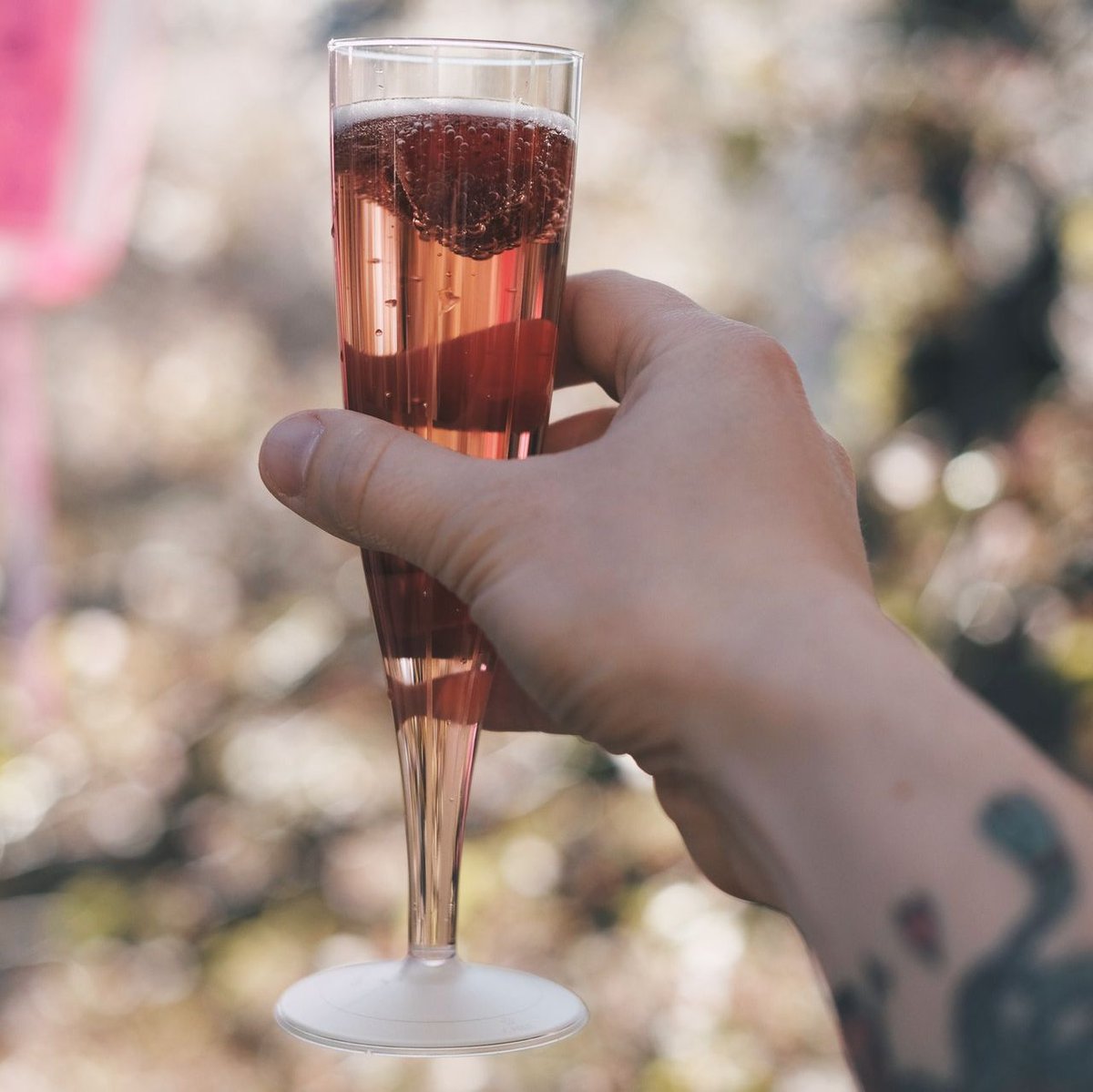 On the 8th July, we'll be raising a glass to our wonderful Class of 2020!

Please join us for our online celebrations and take part by submitting a congratulatory video! Simply send it to digital.content@sunderland.ac.uk