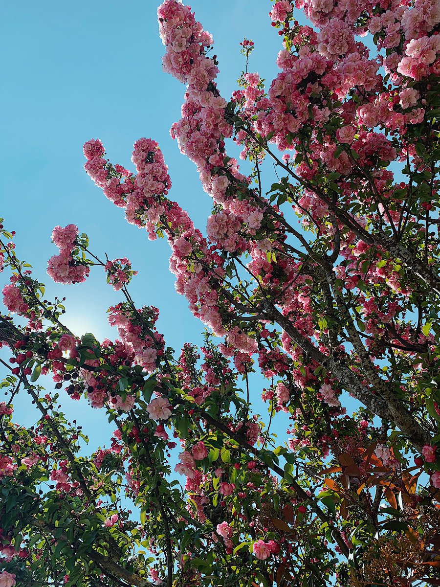 CardinalysA's tweet image. Bon lundi à tous #MondayMotivation