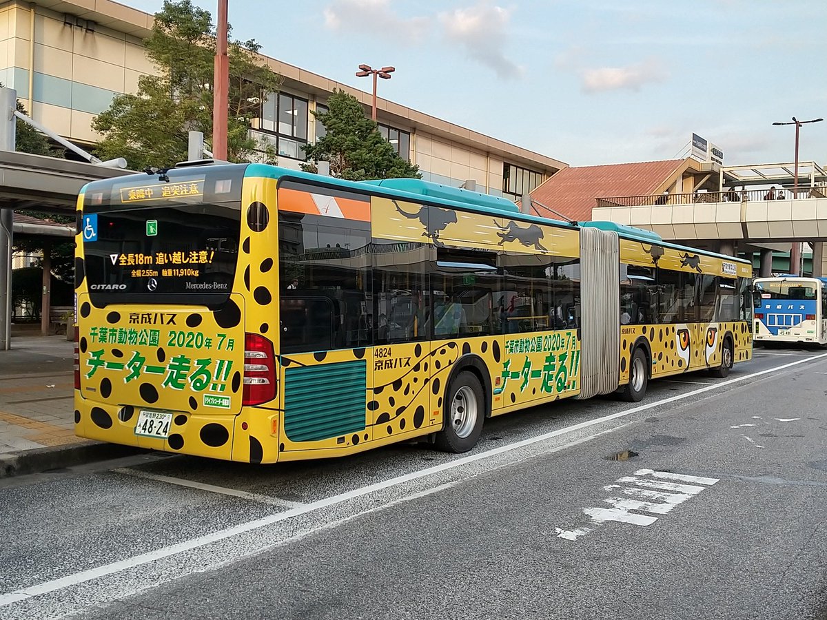 闇のクロベエ 京成バスの44 連節バス が千葉市動物公園のラッピングバスとなっています