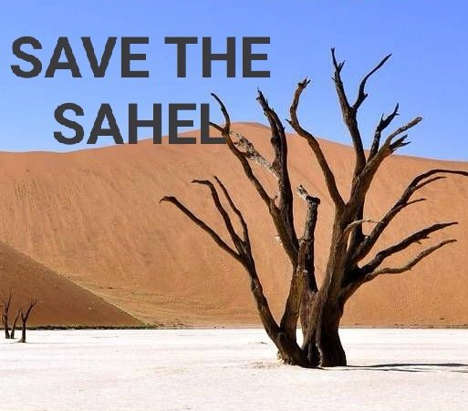 RESDTRUST's tweet photo. #SaveTheSahel
#plantAtree
#GreatGreenWall
#MeWeClimateActionNow
#MeWeCAN https://t.co/kKk7aEZtjQ