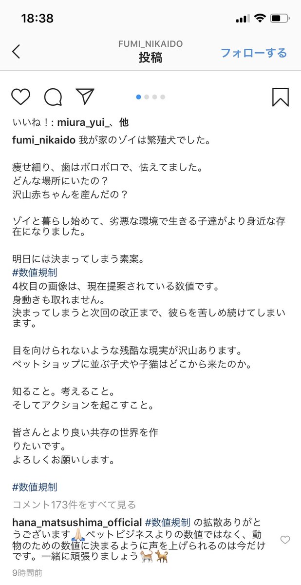残酷な現実 4枚