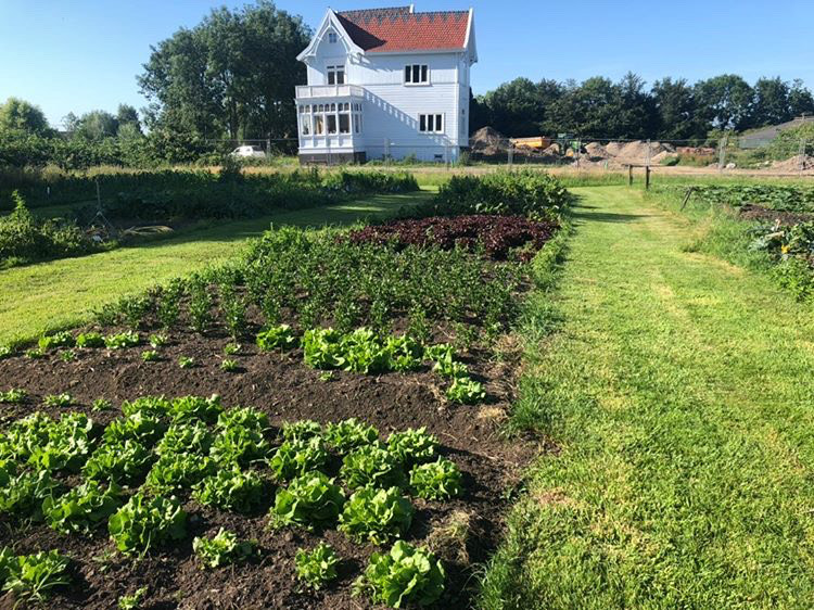 supportyourlocalsNL tweet media