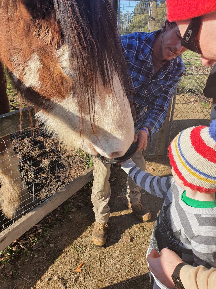markmccoll39's tweet photo. Thanks for today @cdsymons, my lil fellow absolutely loved it!!! Your a good bloke, even though @Mickzahra says otherwise #thefunkyfarm https://t.co/FG7UbAfOWk