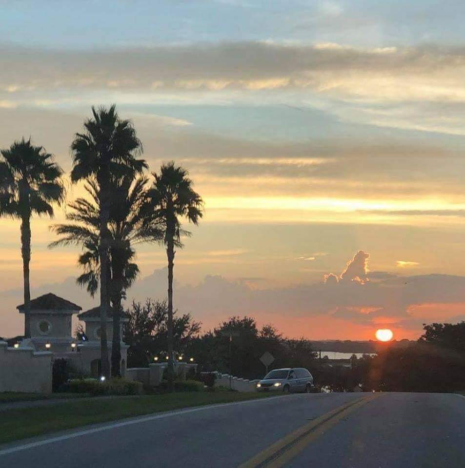Andalucillo's tweet photo. Todos los perros van al cielo ❤️🐕 https://t.co/zFa8AV94ty