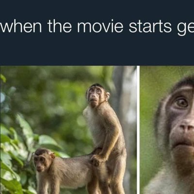 YurrBoss4's tweet image. #NewProfilePic