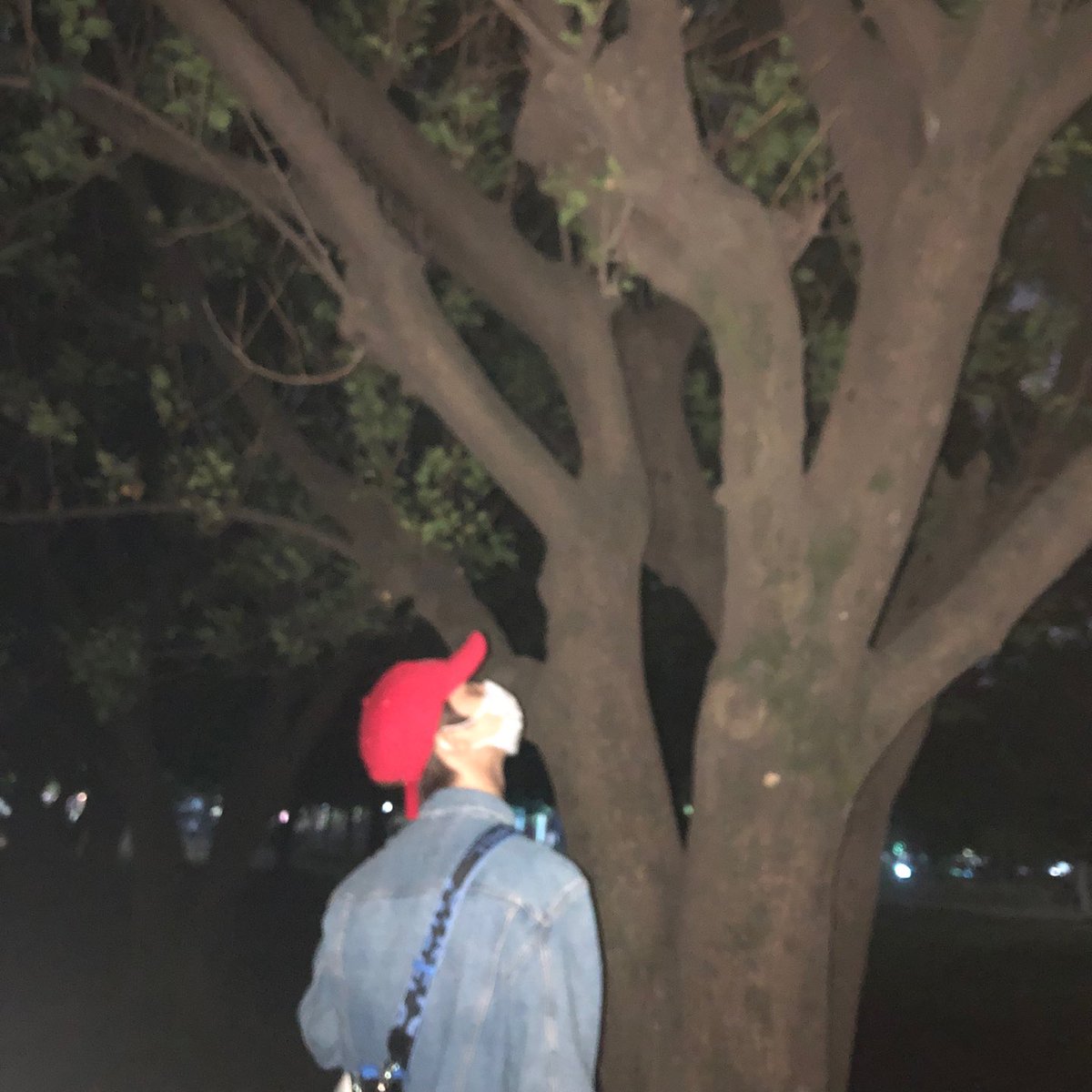 WE_THE_BOYZ's tweet photo. [큐] 오늘 날씨 🐽 https://t.co/qkyfFo7IQ3