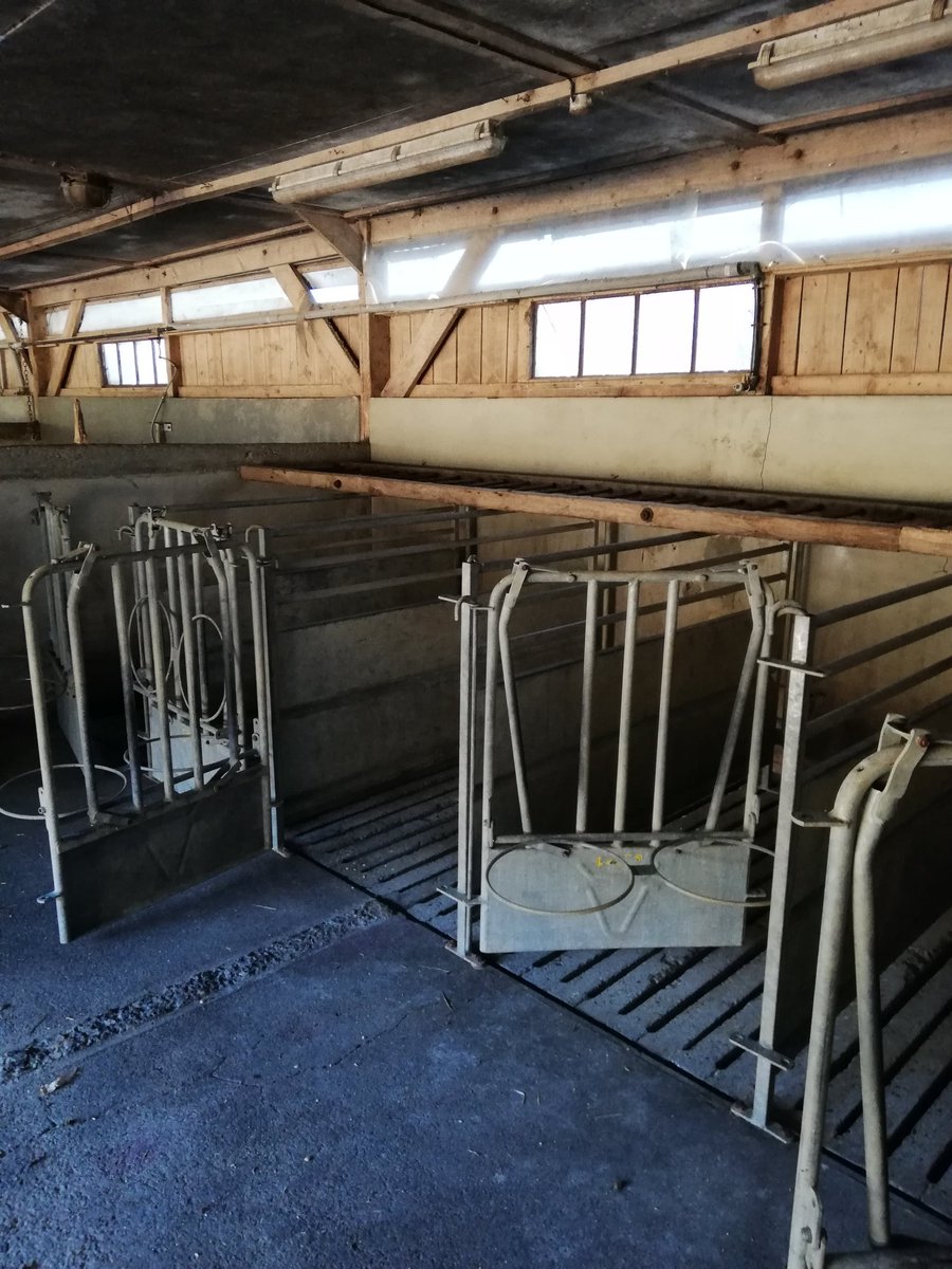 MagaliHoflack's tweet photo. Nurserie curée, lavée, désinfectée. Maintenant vide sanitaire en attendant les prochaines naissances. #FierDeMonMetier #ceuxquifontlelait #bienêtreanimal https://t.co/KlzE3xZn83