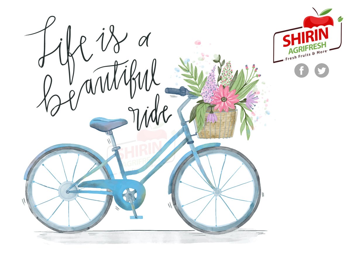 Велосипед цветы. Велосипед на природе. Кофе велосипед. Велосипед цветы. Велосипед с цветами вектор.