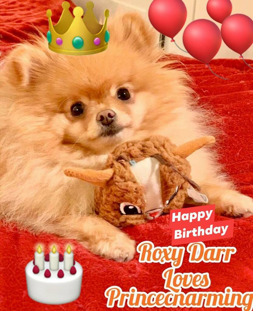 Happy Birthday to my little Prince Charming      
