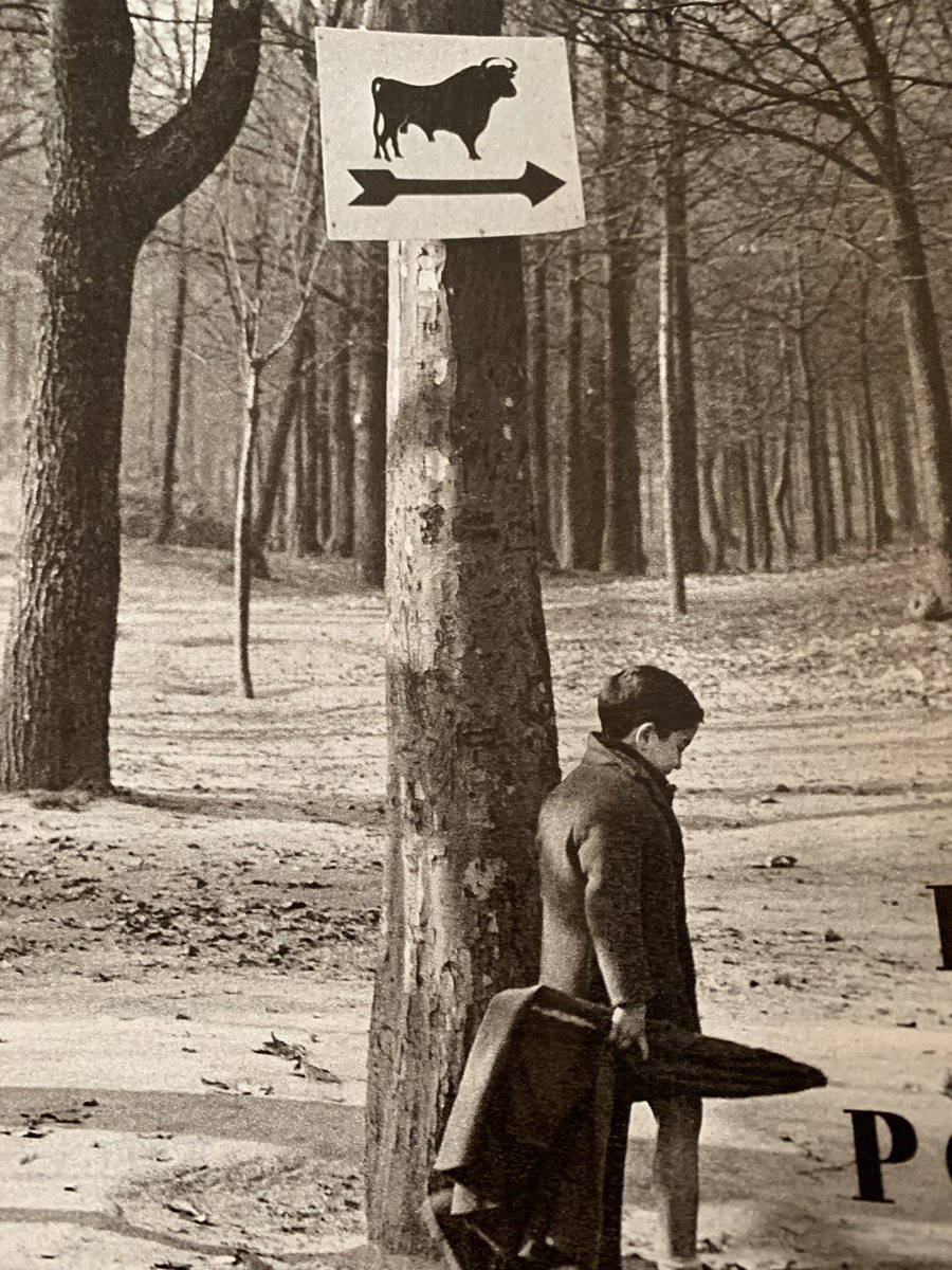 lopezgaliacho's tweet photo. Hoy , algo más que una imagen. Casa de Campo. Niño maletilla . Ramon Masat 1959. https://t.co/mRXEHl8PFq