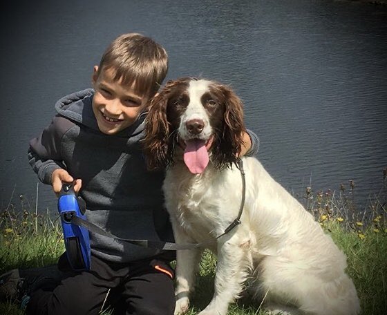 lawrence_dogs's tweet photo. Exciting times .....
Springer Spaniel Elsa is now over 2yrs old and as such we can look at breeding from her!!
She’s got such a fantastic temperament and wants to search for her ball all day long 😁
Looking for health tested Stud dogs to compliment her amazing attitude  🐾💕🐾 https://t.co/nbYKZ8l3O8