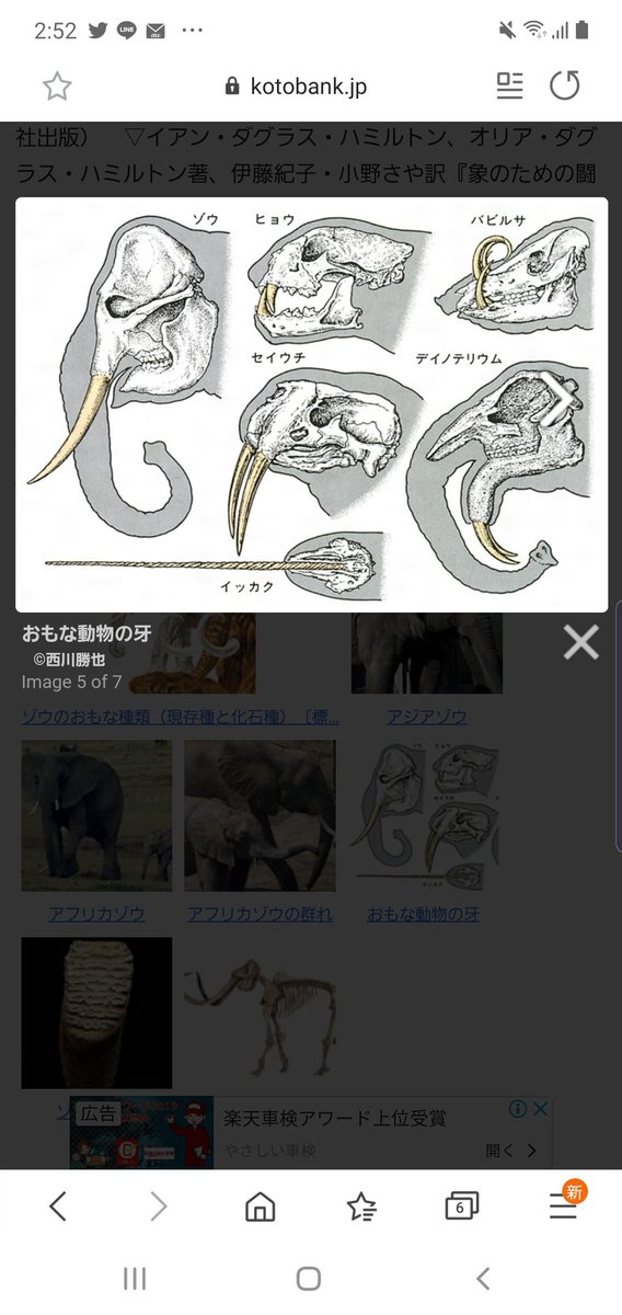 ゾイドワイルド Twitterまとめ 人語を介するジャミンガらしきものを作ってみました 他 モデラーズ速報