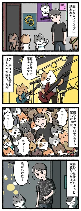 猫のライブ 