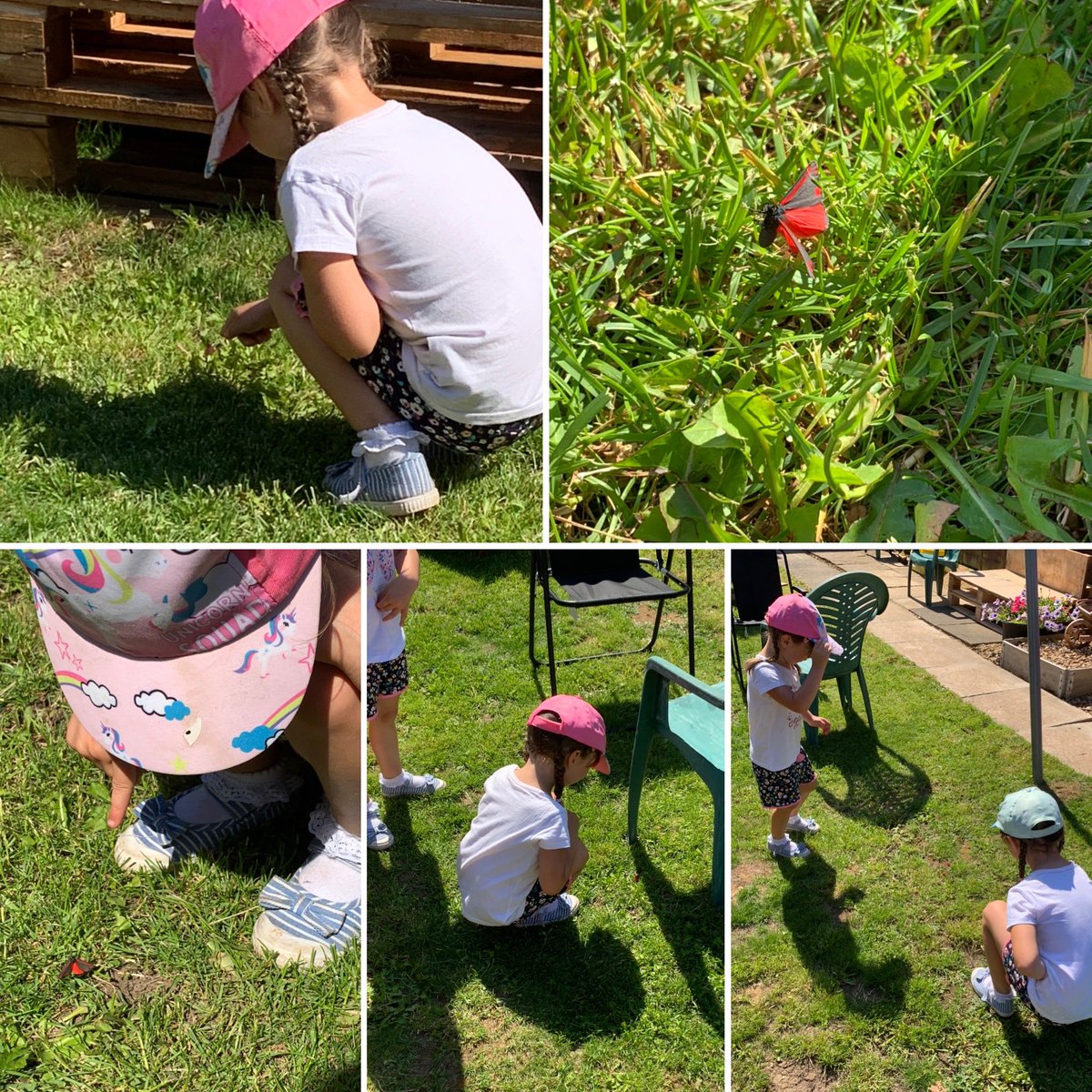 LaynaDuke's tweet photo. Over the weekend a Butterfly kept coming into the garden to play with Ruby &amp; Paige 🦋 They we’re both fascinated by its colour! @cashprimary @mrs_w_EYFS @MissBartczak https://t.co/bS6uZHfbsL