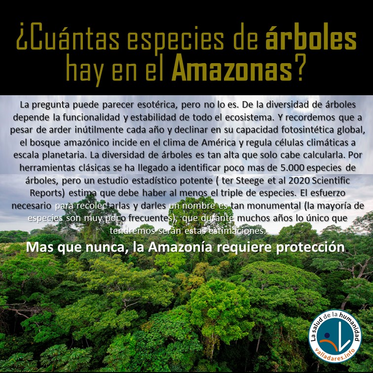 FernandoVallada's tweet photo. Saber cuantas especies de árboles hay en el Amazonas no es sólo una curiosidad científica, importa para entender su funcionamiento y este es clave para el planeta. Conocemos 5.000 pero un estudio calcula que hay mas de 15.000
https://t.co/cTpSFkkVNs 
#biodiversidad #amazonas https://t.co/0VsiTpKlNY