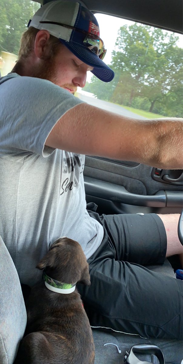 AlyssaMadisonY1's tweet photo. Meet Gus! I think gus and I have Riley wrapped around our finger and paws🐾🥺❤️#dogparents https://t.co/XWnBIQt7oo