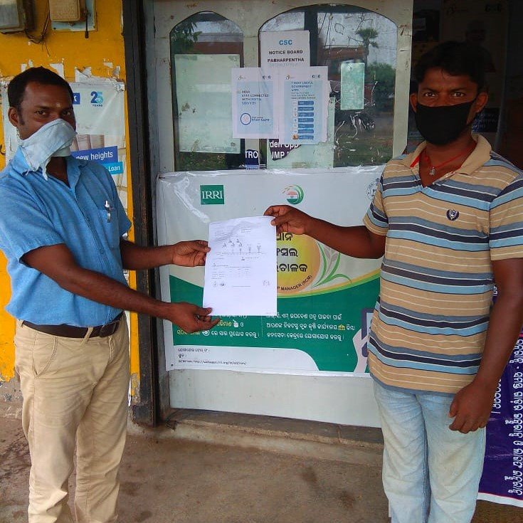 Farmers are receiving #RiceCropManager recommendations from their nearest #CSC centers in #Odisha for #nutrientmanagement of their #rice crop. The recommendation from the RCM tool guides them to apply balanced fertilizer doses at critical stages
@irri @krushibibhag @CSCegov_