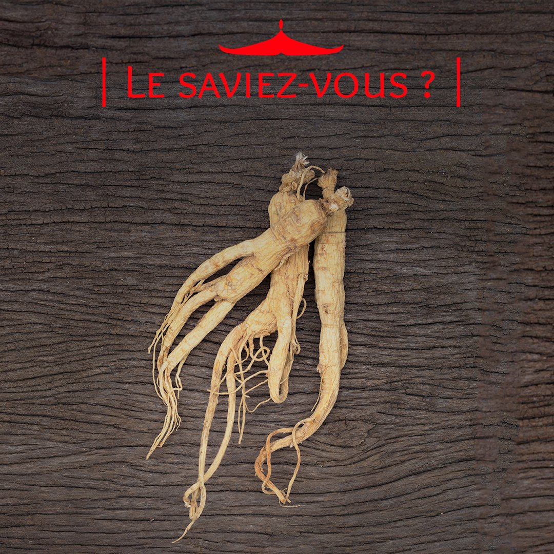 Rien de mieux que le #Ginseng pour avoir la pêche.   
Riche en ginsénosides, il est utilisé depuis des millénaires par les médecines traditionnelles chinoises, japonaises et coréennes pour ses propriétés toniques. 🏋️⚡ 

Yelong au Ginseng : loom.ly/LpGa7ss
