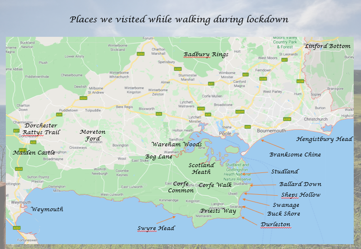 Purbeck View School tweet media