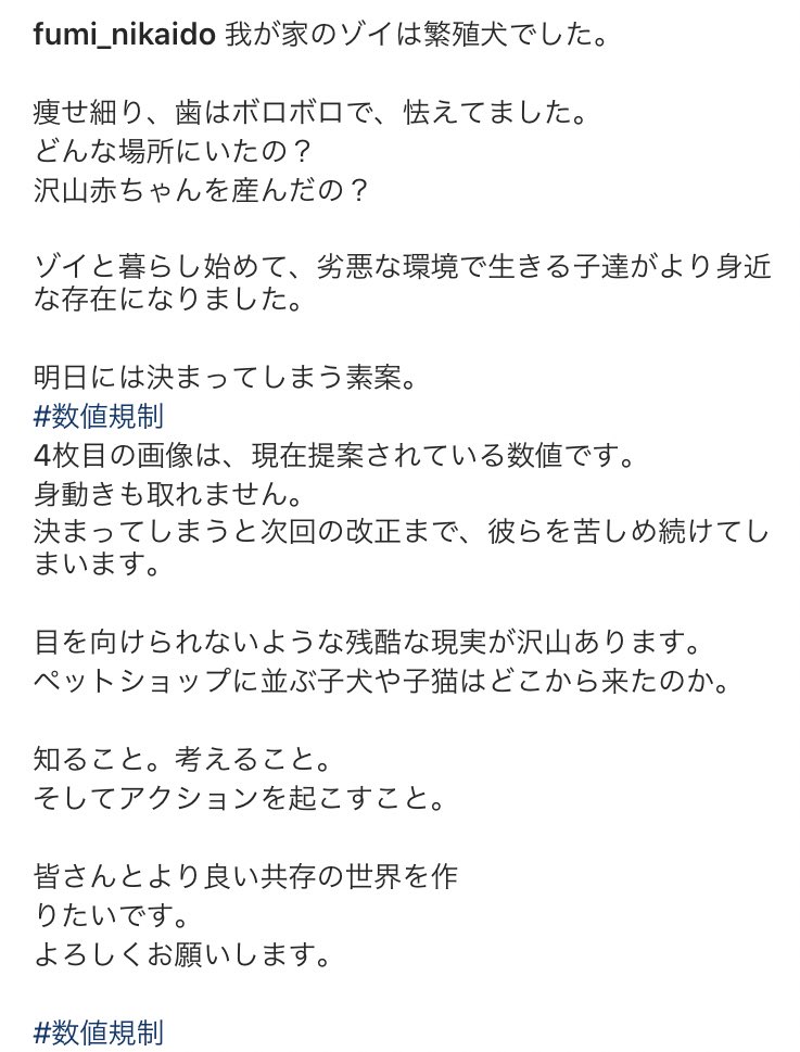 残酷な現実 4枚
