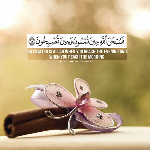 TopQuran tweet media