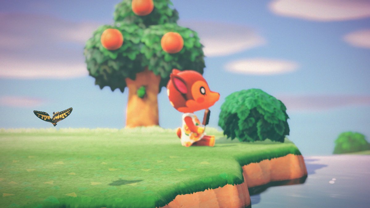 signedjk's tweet photo. #AnimalCrossing #ACNH #NintendoSwitch https://t.co/sCKsKSWnHS