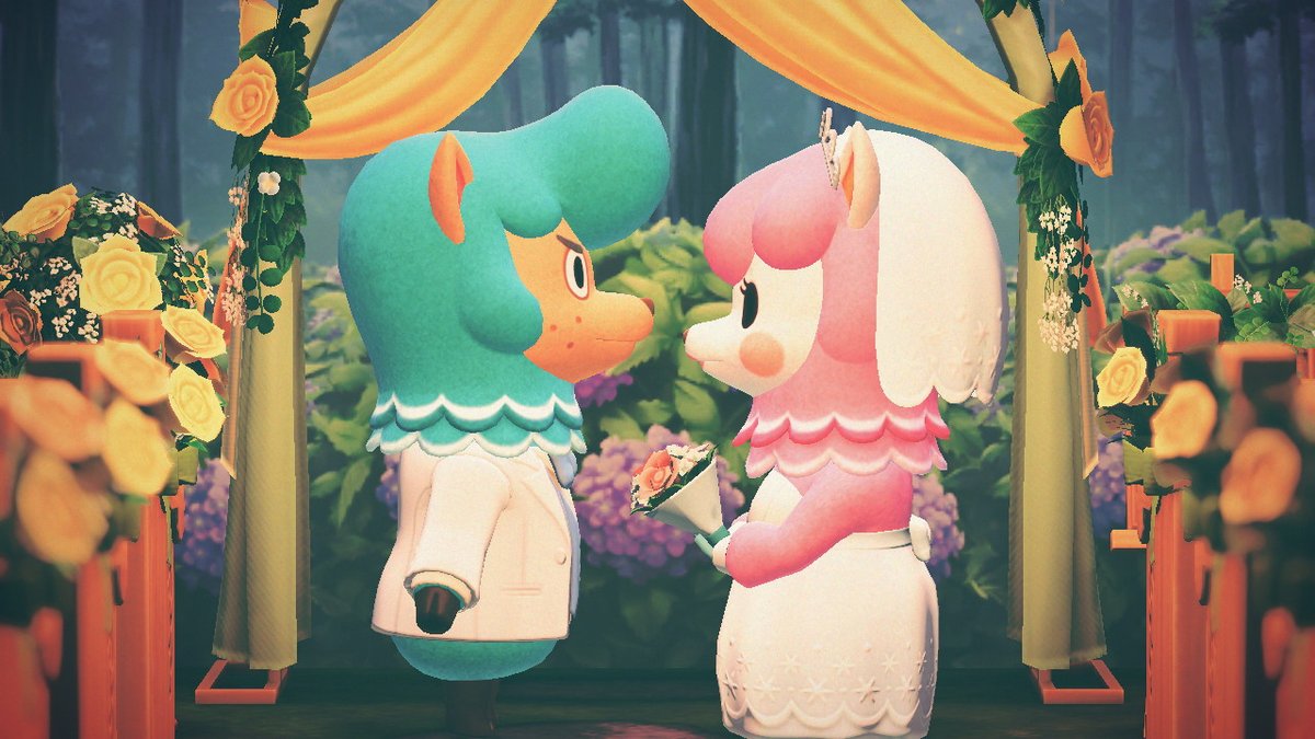 signedjk's tweet photo. #AnimalCrossing #ACNH #NintendoSwitch https://t.co/N7O75M55Ik