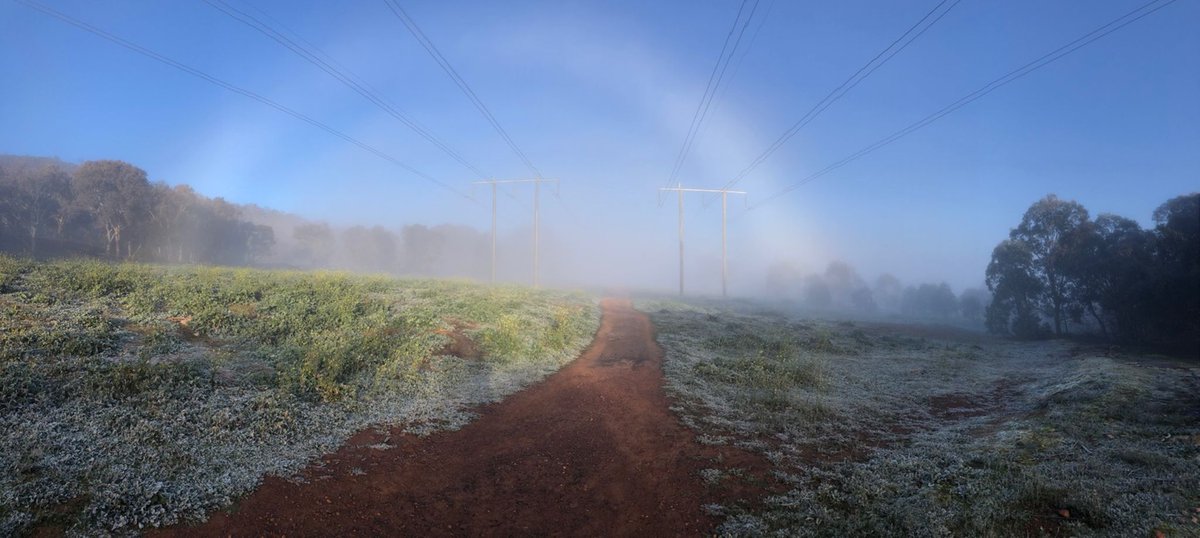 Ice-bow, essentially the same as a rainbow but the sunlight reflects straight off the ice crystals instead of entering the water droplets and refracting. Without refraction, sunlight doesn't split, so the white light is reflected back unchanged. 📸<a href="/cassiecohen/">Cassie Cohen</a> #canberraweather
