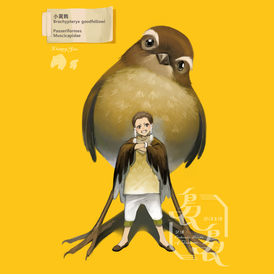 庠隱auf Twitter 台灣動物擬人化 棕色的鳥鳥都超難畫的 每次畫的時候都很怕畫不出他們的特徵xddd 這次畫的是小翼鶇 又名藍短翅鶇 白眉短膀 台灣的小翼鶇公母都是褐色喔 Xiang Yin 插畫 イラスト Illustration Illustrated Original 台灣29種特有鳥種