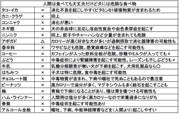 人間は食べてもいいけど？犬が食べたら危険な食べ物一覧！
