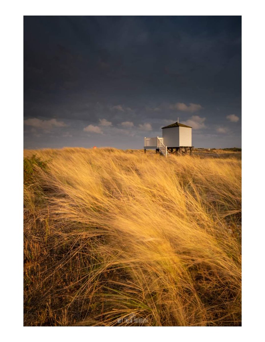 Golden Light. 

A brief moment of light turned this scene into something special. One of my local beaches. Yes I'm very very lucky indeed.... 

#WexMondays 
#fsprintmonday
#appicoftheweek
#MondayMotivaton 
#dorset
#Bournemouth