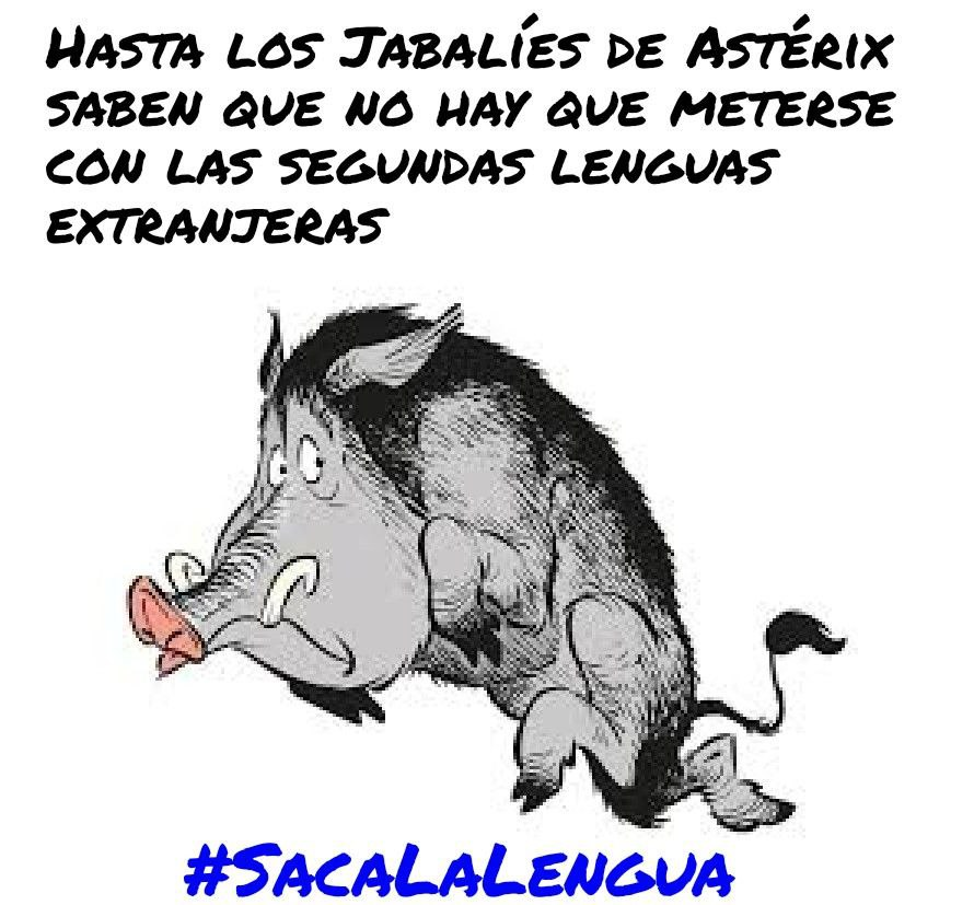 AnaMorato17's tweet photo. Francia sigue siendo nuestro primer cliente comercial en el mundo. APRENDER FRANCÉS ES LA MEJOR INVERSIÓN que nuestros estudiantes pueden hacer por su FUTURO #LA2LENGUARESISTE #SacaLaLengua   
@elpaiseducacion @AruserosLaSexta @laSextaTv @rebeca_rodrig @tatianaarus @CelaaIsabel https://t.co/EdZMBCSwxK